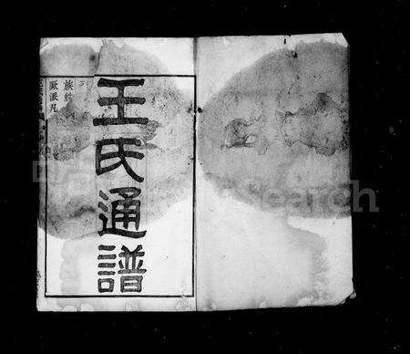 4520.王氏通谱 [106卷,首2卷].pdf电子版预览图1