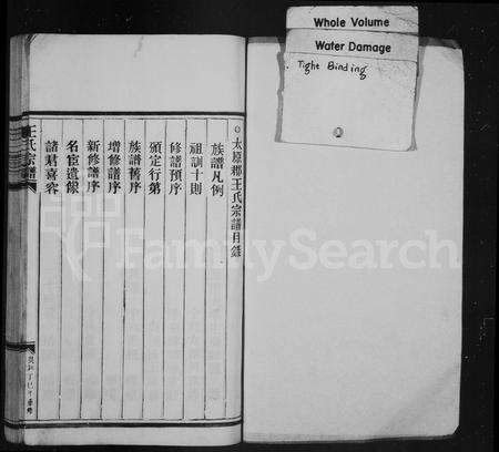 4539.王氏宗谱(别名：太原郡王氏宗谱).pdf电子版预览图1