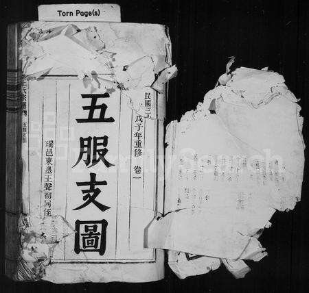 4544.王氏宗谱.pdf电子版预览图1