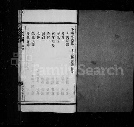 4545.王氏宗谱 [4卷](别名：平阳北港五十丈王氏族谱).pdf电子版预览图1