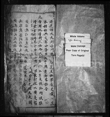 4563.[王氏宗谱].pdf电子版预览图1