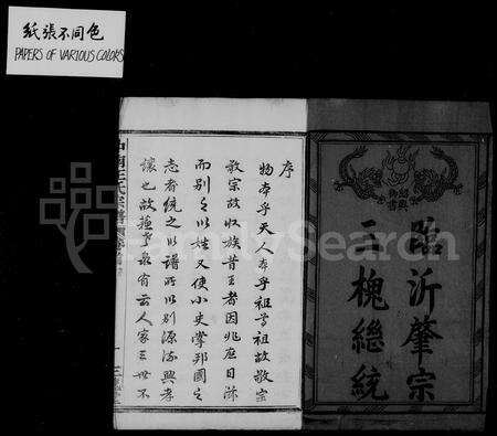 4573.中南王氏宗谱 [12卷,首1卷].pdf电子版预览图1