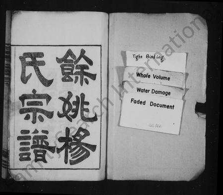 4731.余姚杨氏宗谱 [10卷,首1卷].pdf电子版预览图1