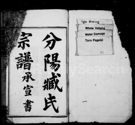 4785.分阳臧氏宗谱 ： [12卷].pdf电子版预览图1