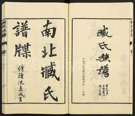 4786.臧氏族谱 [13卷](别名：浙江长兴臧氏族谱第六次修谱).pdf电子版预览图1