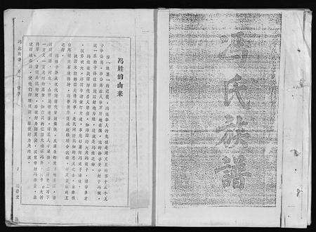 1338.冯氏族谱(别名：Feng Shi Zu Pu、冯氏族谱).pdf电子版预览图1