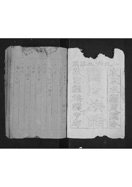 2762.贾氏族谱[卷数不详](别名：Jia Shi Zu Pu、贾氏族谱).pdf电子版预览图1
