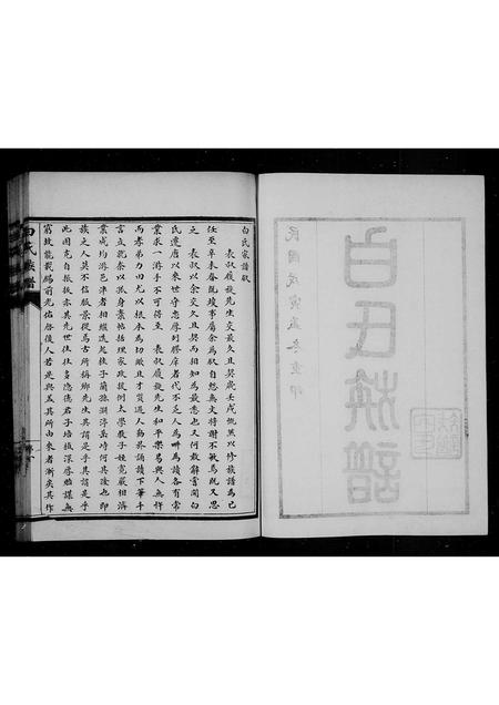 山东白氏-白氏族谱.pdf电子版预览图5