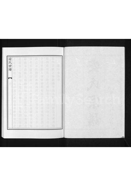 0011.博兴湾头镇安氏宗谱 [残存卷2](别名：安氏宗谱、安氏世谱).pdf电子版预览图2