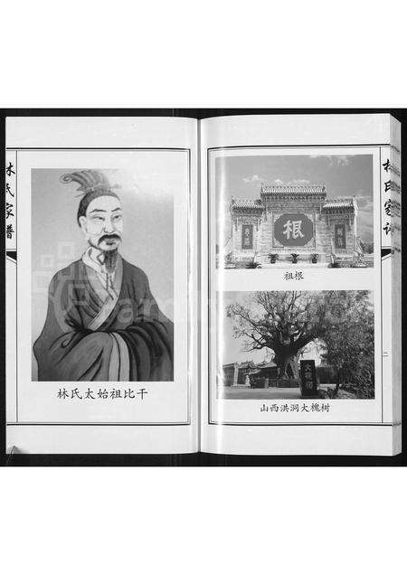 3782.林氏家谱 ： 靖西县荣劳街双桂堂(别名：林氏家谱).pdf电子版预览图2