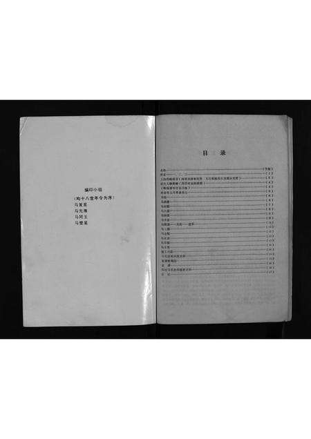 4565.马氏家谱 [不分卷](别名：Ma Shi Jia Pu、马氏家谱).pdf电子版预览图2