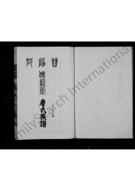 5966.唐氏族谱 [4卷](别名：国裔儒籍堂唐氏谱书、晋阳郡儒籍堂唐氏族谱、晋阳唐氏族谱).pdf电子版预览图2