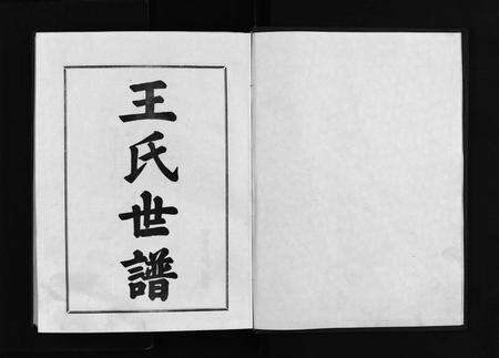 6347.王氏世谱 [不分卷](别名：新城王氏世谱、Wang Shi Shi Pu).pdf电子版预览图2
