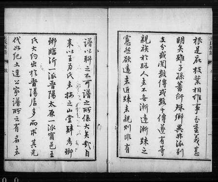 6693.宁晋王氏族谱 ： [10卷](别名：王氏族谱).pdf电子版预览图2