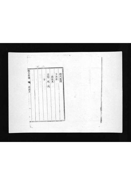 8481.盆泉魏氏族谱 [不分卷](别名：Penquan Wei Shi Zu Pu、魏氏族谱).pdf电子版预览图2