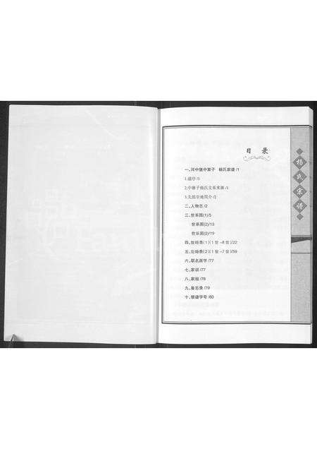 9525.杨氏宗谱 ： 入宁中寨子始祖杨国强宗支.pdf电子版预览图2