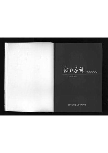 9837.山西朔州后寨殷氏家谱 [不分卷](别名：殷氏家谱, 1540-2007、Shan Xi Shuo Zhou Hou Zhai Cun Yin Shi Jia Pu、山西朔州后寨村殷氏家谱、山西朔州后寨村殷氏家谱).pdf电子版预览图2