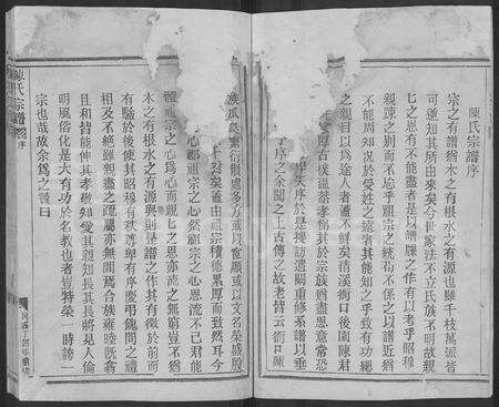 4036.陈氏宗谱 [不分卷].pdf电子版预览图2