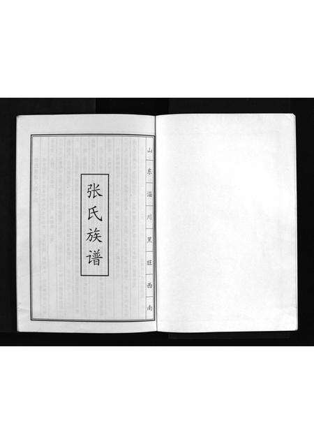 10362.山东淄川黑旺西南张氏族谱 [不分卷](别名：新续张氏族谱、Shan Dong Zi Chuan Hei Wang Xi Nan Zhang Shi Zu Pu、山东淄川黑旺西南张氏族谱).pdf电子版预览图2