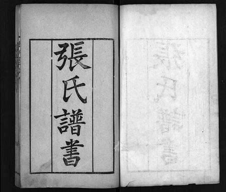 10377.张氏家谱 [上函11卷,含卷首,下函12卷](别名：张氏谱书、泰安张氏家谱、Zhang Shi Jia Pu、张氏家谱).pdf电子版预览图2