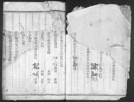 4299.松阳赖氏宗谱 [11卷].pdf电子版预览图2