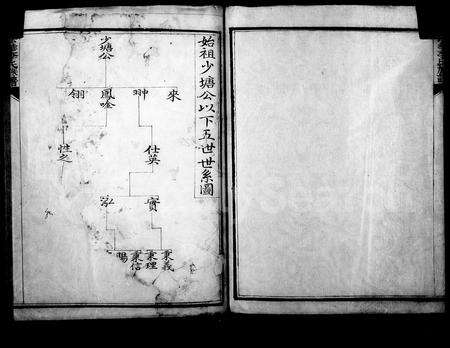 4303.漎溪李氏族谱(别名：法华李氏族谱).pdf电子版预览图2