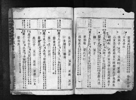 4327.吴宁厉氏宗谱 [残卷](别名：Wuning Lishi Zongpu、吴宁厉氏宗谱).pdf电子版预览图2