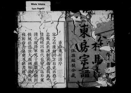 4387.仁村马氏东房宗谱 [10卷].pdf电子版预览图2