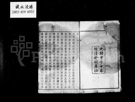 4520.王氏通谱 [106卷,首2卷].pdf电子版预览图2