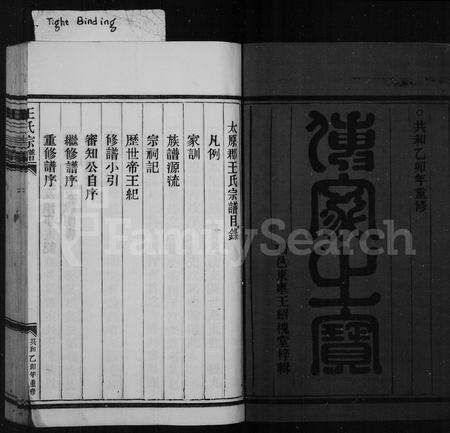 4541.王氏宗谱.pdf电子版预览图2