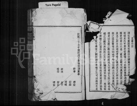 4544.王氏宗谱.pdf电子版预览图2