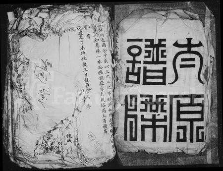 4553.国岭王氏族谱.pdf电子版预览图2