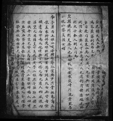 4563.[王氏宗谱].pdf电子版预览图2