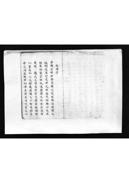 11050.山东东平赵氏族谱 [不分卷](别名：Shan Dong Dong Ping Zhao Shi Zu Pu、山东东平赵氏族谱).pdf电子版预览图2