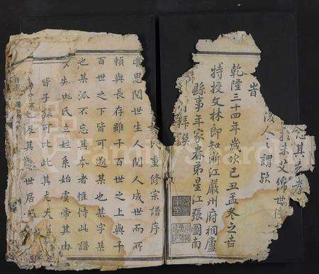 4736.金华姚车姚氏宗谱 [残卷](别名：姚氏宗谱).pdf电子版预览图2