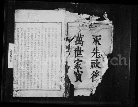 4809.高峰张氏宗谱 ： [6卷].pdf电子版预览图2