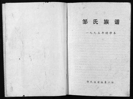 11753.邹氏族谱 [不分卷](别名：Zou Shi Zong Pu、邹氏宗谱).pdf电子版预览图2