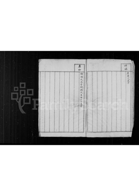 辽宁白氏-文秀公子子孙孙图谱 [存卷2].pdf电子版预览图4