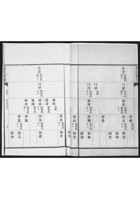 山东白氏梅氏安氏梁氏-白梅安梁四氏合谱.pdf电子版预览图3