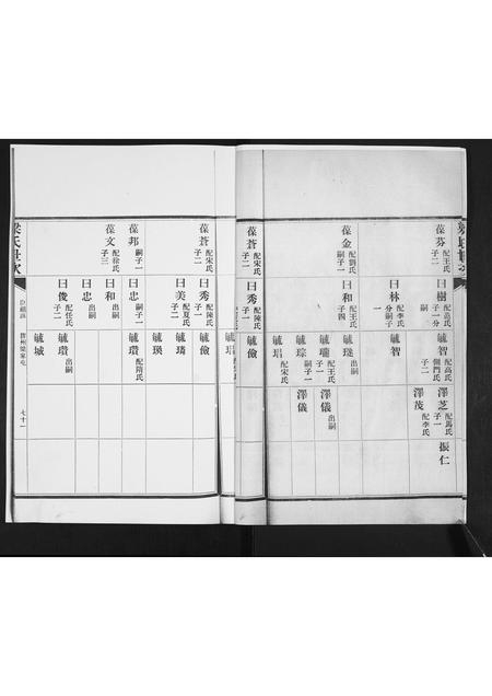 山东白氏梅氏安氏梁氏-白梅安梁四氏合谱.pdf电子版预览图4