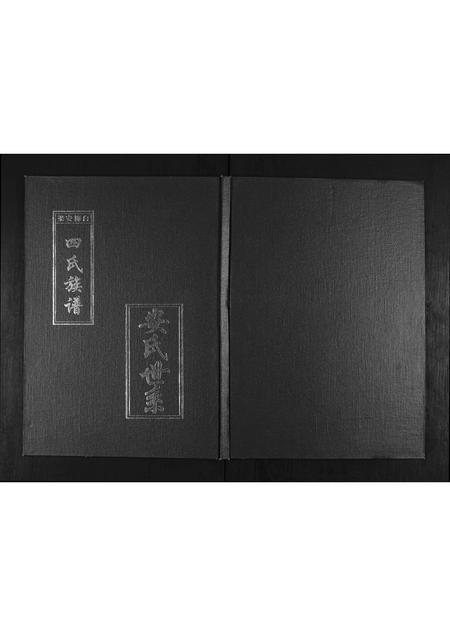 山东白氏梅氏安氏梁氏-白梅安梁四氏族谱.pdf电子版缩略图