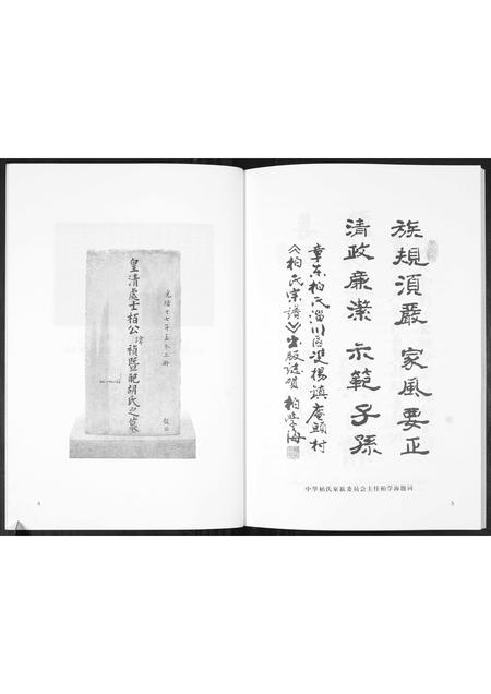 山东柏氏-章东柏氏.pdf电子版预览图3