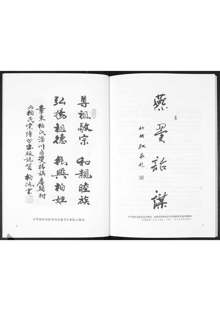 山东柏氏-章东柏氏.pdf电子版预览图4