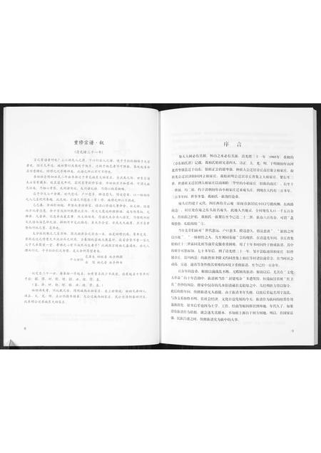 山东柏氏-章东柏氏.pdf电子版预览图5