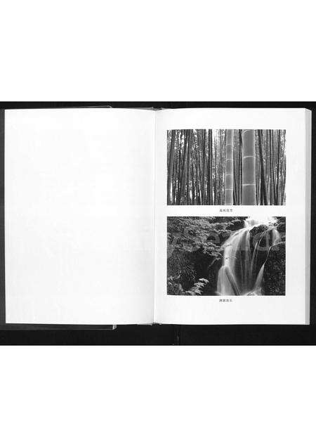 3677.李氏家谱 ： 横山县殿市镇大小石畔支派(别名：李氏家谱).pdf电子版预览图3