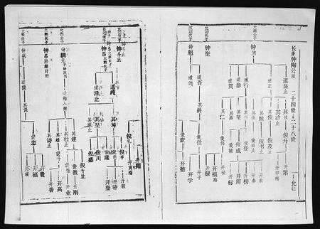 3742.廖氏族谱 [残卷](别名：Liao Shi Zu Pu、廖氏族谱).pdf电子版预览图3