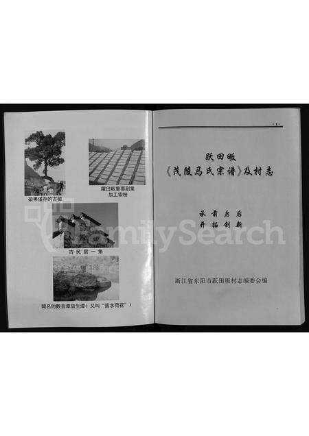 4390.茂陵马氏宗谱 [不分卷](别名：跃田畈茂陵马氏宗谱及村志、茂陵马氏宗谱).pdf电子版预览图3