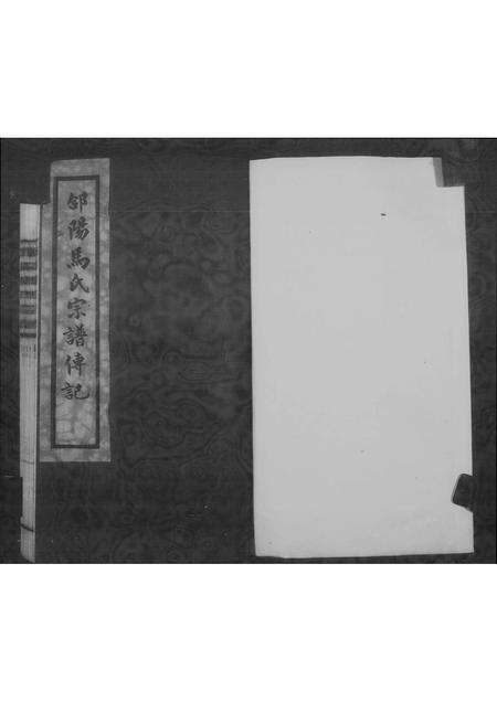 4626.郃阳南渠西马氏宗谱传记 ： [4卷].pdf电子版预览图3