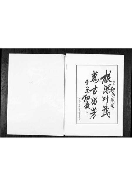 5801.乐安山桓台西店孙氏世谱 [1册](别名：Le An Shan Huan Tai Xi Dian Sun Shi Shi Pu、乐安山桓台西店孙氏宗谱).pdf电子版预览图3