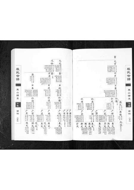 0771.程氏世谱海阳东山谱系[上中下卷](别名：Cheng Shi Shi Pu Hai Yang Dong Shan Pu Xi、程氏世谱东山谱系).pdf电子版预览图3